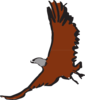 Flying Eagle Art Clip Art